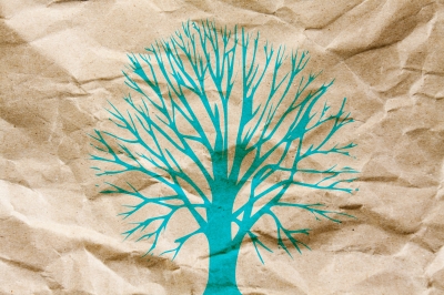 紙與樹的共生